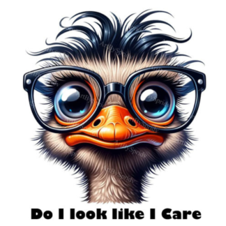 Do I look like I care